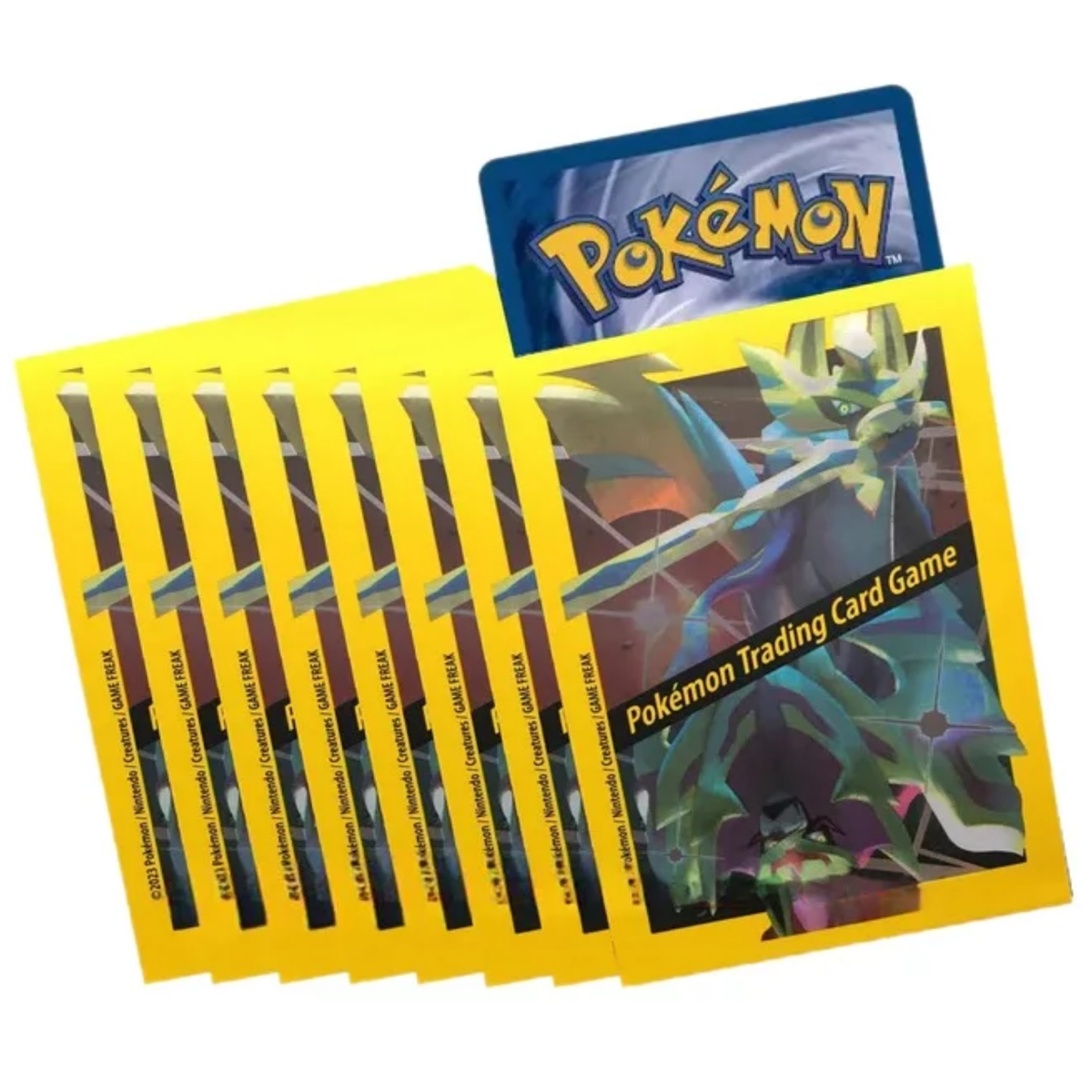 Pokemon - Zenit der Könige - Schillerndes Zacian & Schillerndes Zamazenta Premium Figurenkollektion - Sleeves