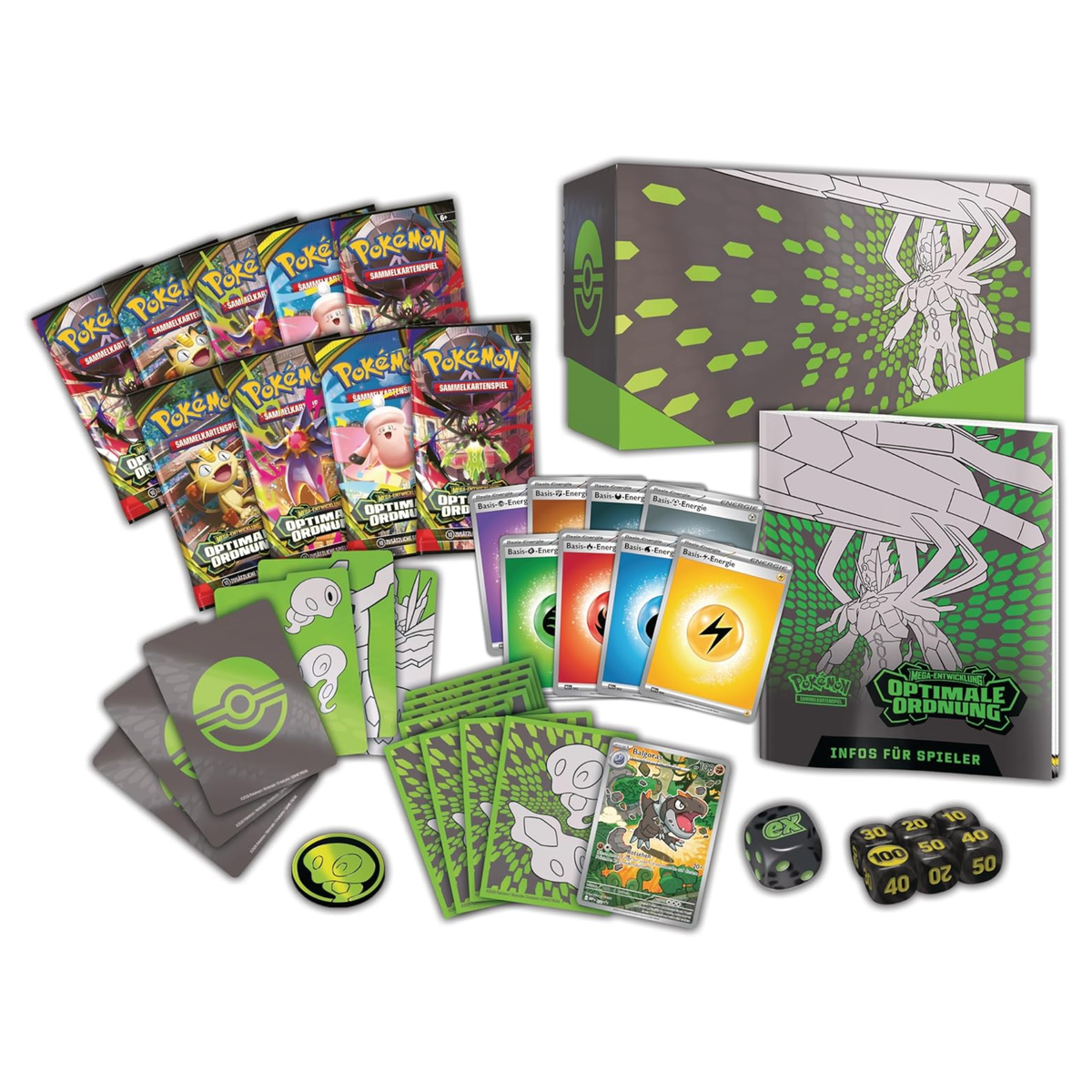 Mega-Entwicklung - Optimale Ordnung: Top Trainer Box (DE)