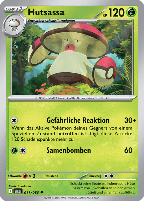 Schwarze Blitze Nr. 11