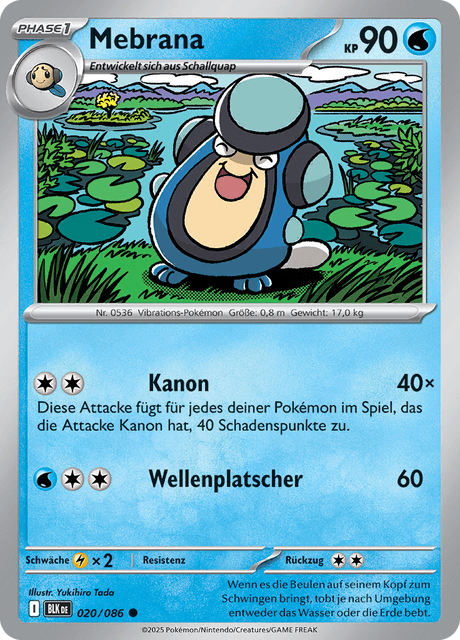 Schwarze Blitze Nr. 20