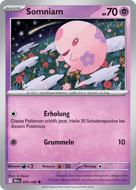 Schwarze Blitze Nr. 35