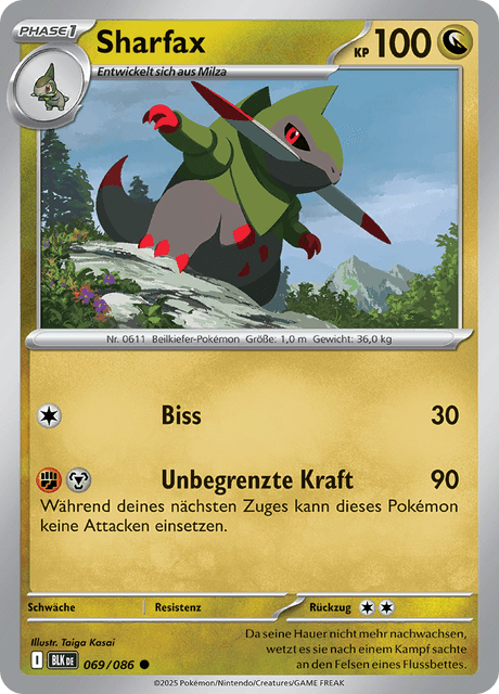 Schwarze Blitze Nr. 69
