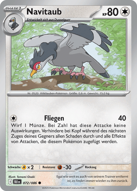 Schwarze Blitze Nr. 72