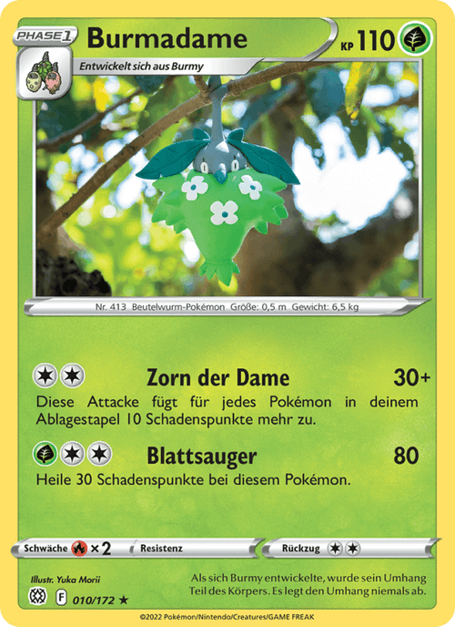Strahlende Sterne Nr. 10