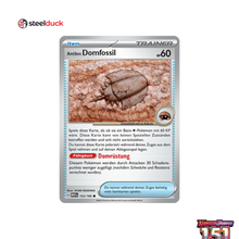 Antikes Domfossil (152/165) 151 - Common