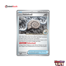 Antikes Helixfossil (153/165) 151 - Common