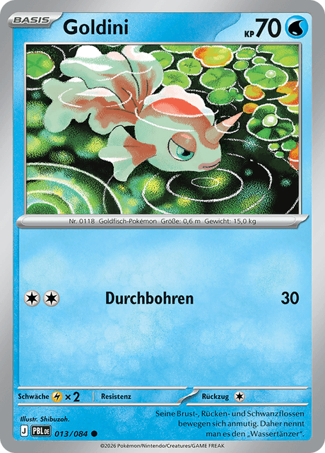 Dunkelnacht Nr. 13