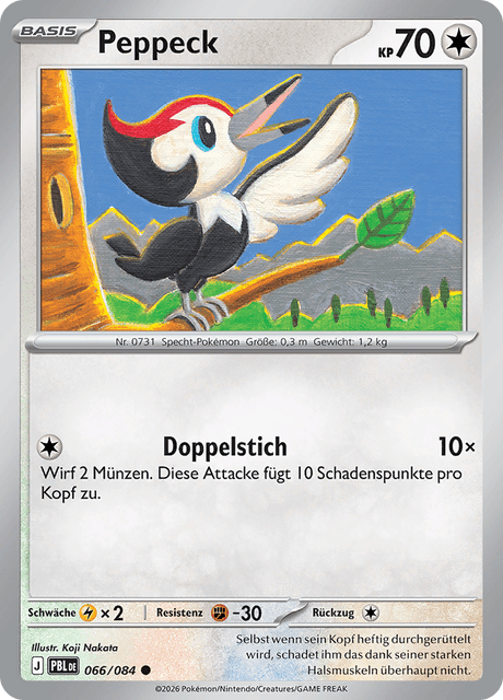 Dunkelnacht Nr. 66