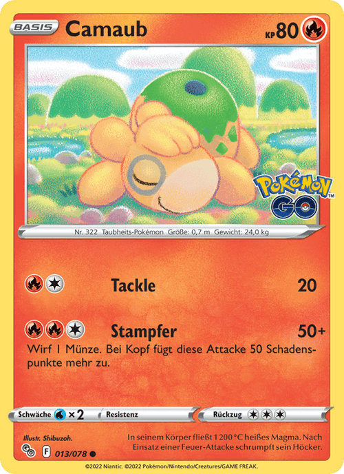 Pokémon GO Nr. 13