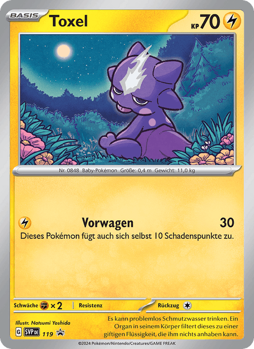 SVP Black Star Promos Nr. 119
